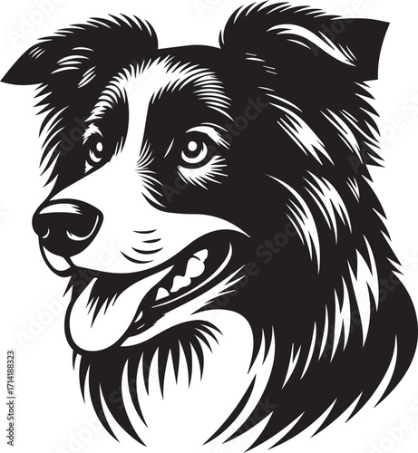 Border Collie Dog Vector Illustration, Black and White Silhouette, Pet Animal Design