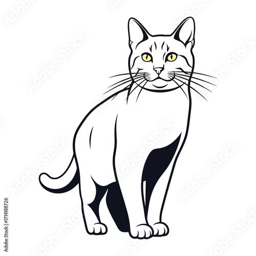 Elegant Feline Portrait: A stylish illustration of a domestic cat, perfectly capturing the sleek lines and graceful posture of this beloved companion animal.
