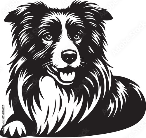 Border Collie Dog Vector Illustration, Black and White Silhouette, Pet Animal Design