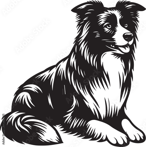Border Collie Dog Vector Illustration, Black and White Silhouette, Pet Animal Design