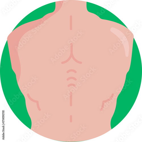 Lat and spine training – Symbol for exercises strengthening lats, traps, and lower back.