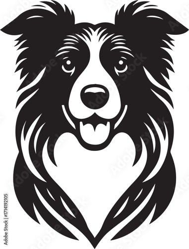 Border Collie Dog Vector Illustration, Black and White Silhouette, Pet Animal Design