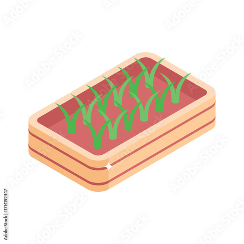 Modern isometric style icon of nursery seedling bed
