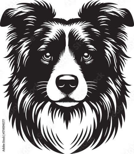 Border Collie Dog Vector Illustration, Black and White Silhouette, Pet Animal Design