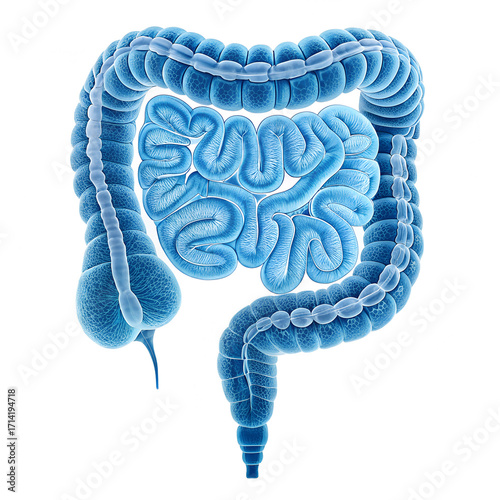 intestines blue effect isolated on white background