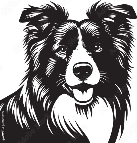 Border Collie Dog Vector Illustration, Black and White Silhouette, Pet Animal Design