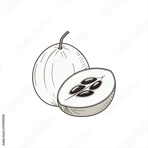 Illustration of a whole sapodilla fruit and a cut half showing seeds