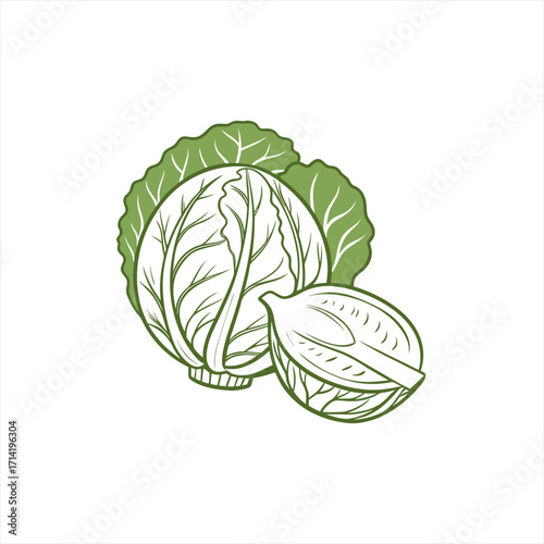 Stylized line art illustration of a whole cabbage and a halved cabbage