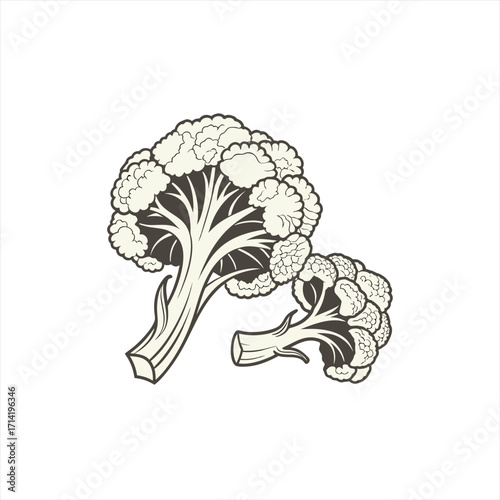 Stylized illustration of two cauliflower florets on a white background