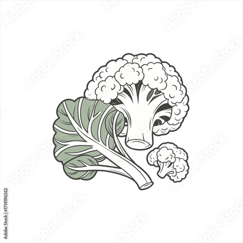 Stylized illustration of fresh cauliflower and broccoli florets with leaves