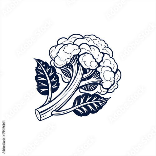 Stylized line art illustration of a fresh cauliflower with leaves