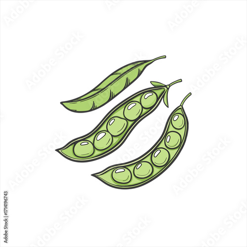 Fresh green peas in pods illustration on white background