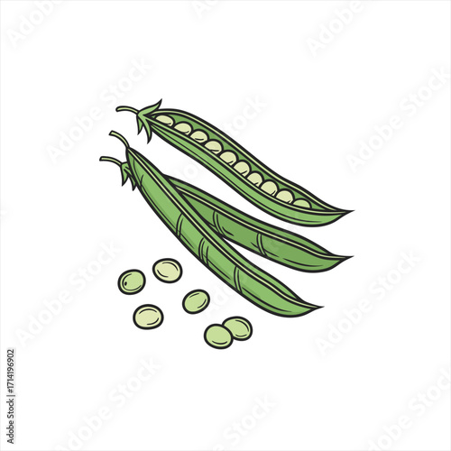 Illustration of fresh green peas in pods with scattered peas