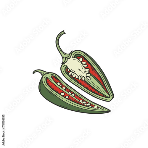 Hand drawn illustration of two halved green jalapeno peppers with seeds