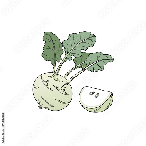 Illustration of a whole kohlrabi vegetable with a slice and green leaves