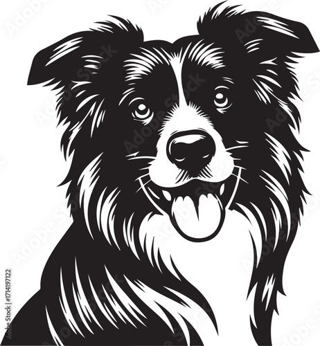 Border Collie Dog Vector Illustration, Black and White Silhouette, Pet Animal Design