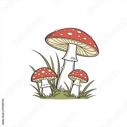 Whimsical illustration of three red and white spotted mushrooms in green grass
