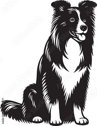 Border Collie Dog Vector Illustration, Black and White Silhouette, Pet Animal Design