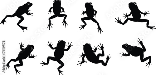 Frog silhouette vector illustration, jumping frog outline design, amphibian wildlife graphic, nature animal art, black frog shape, tropical rainforest concept