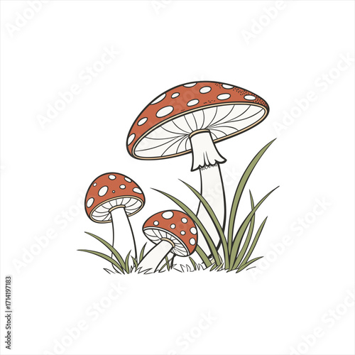 Illustration of three red and white spotted mushrooms growing in green grass