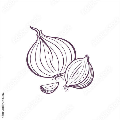 Hand drawn line art illustration of onions and a slice on white background