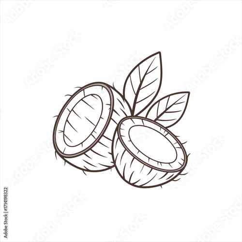 Stylized illustration of two halves of a coconut with leaves