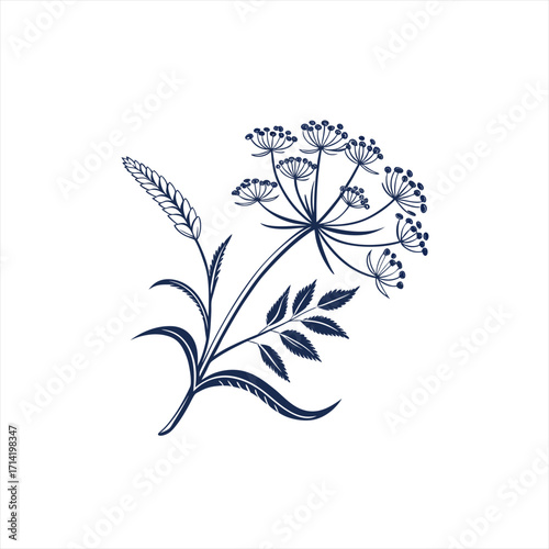 Stylized dark blue floral illustration with wheat and dill on white background