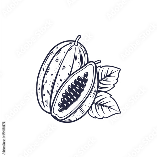 Hand drawn illustration of papaya fruit and leaves in black and white