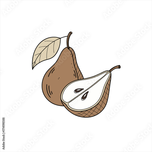 Hand drawn illustration of a whole pear and a sliced pear with a leaf