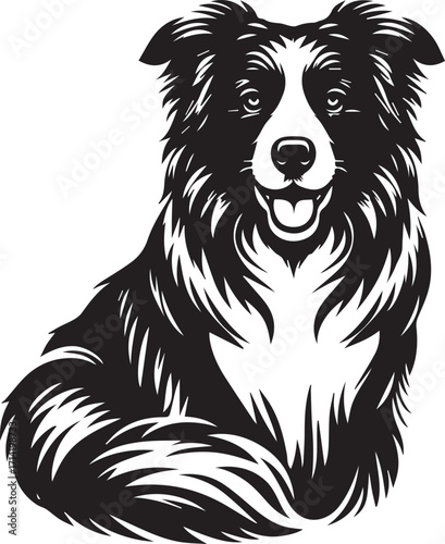 Border Collie Dog Vector Illustration, Black and White Silhouette, Pet Animal Design
