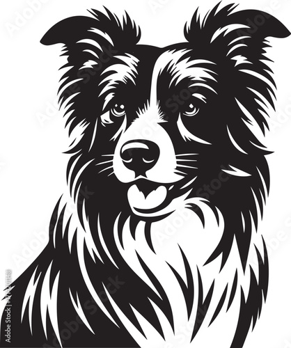 Border Collie Dog Vector Illustration, Black and White Silhouette, Pet Animal Design