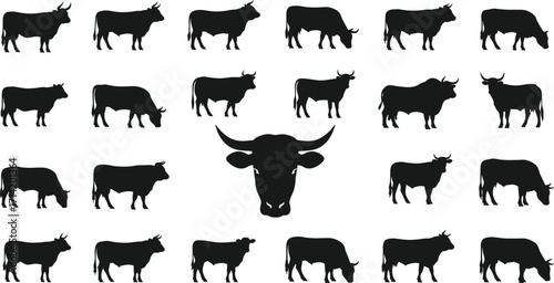 Cow silhouette collection, bull head illustration, cattle animal vector, farm livestock design, black cow shape, agriculture graphic art