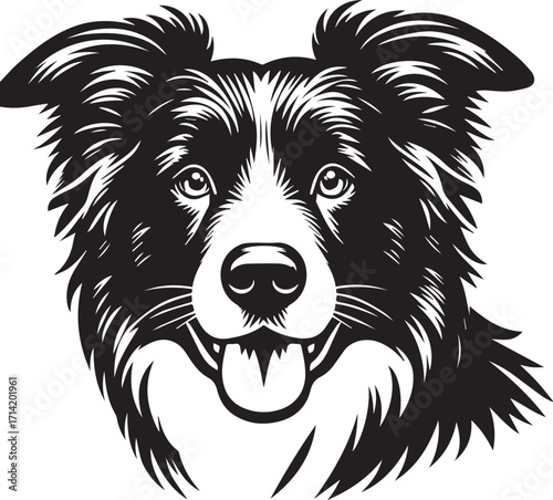 Border Collie Dog Vector Illustration, Black and White Silhouette, Pet Animal Design