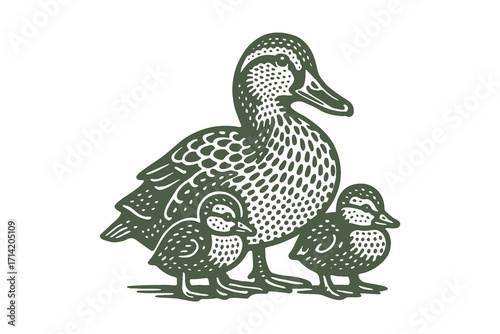 Duck family engraved vintage sketch vector illustration