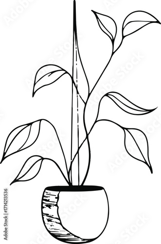 Black bold outline with white background, Minimal single line art of hanging plant in pot, boho style 2