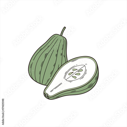 Hand drawn illustration of a whole and halved chayote fruit