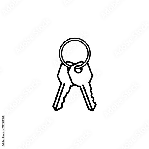 Two keys on a ring representing security and access to something important.