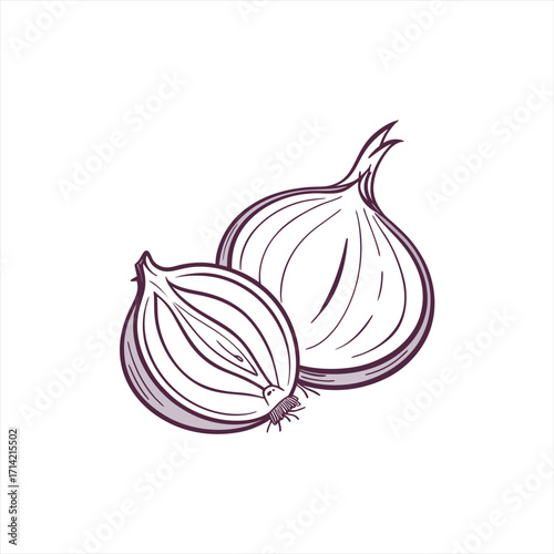 Stylized line art drawing of two onions one halved on white background