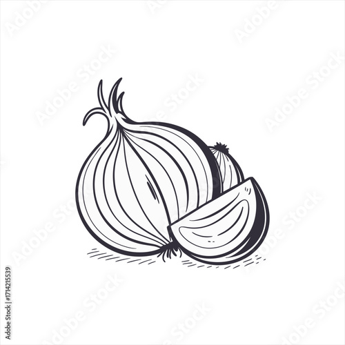Hand drawn illustration of a whole onion and a slice on white background