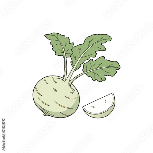 Kohlrabi vegetable with green leaves and a slice on white background