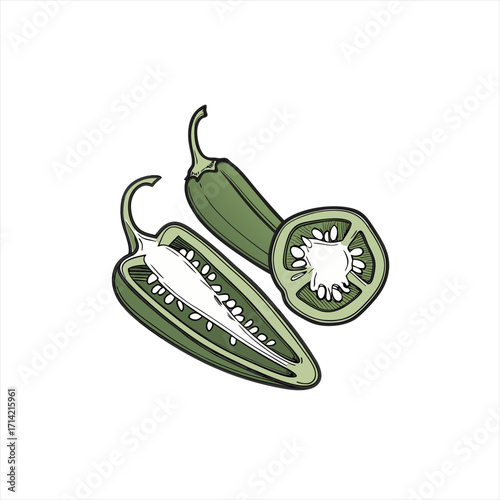 Illustration of a whole and sliced jalapeno peppers on white background