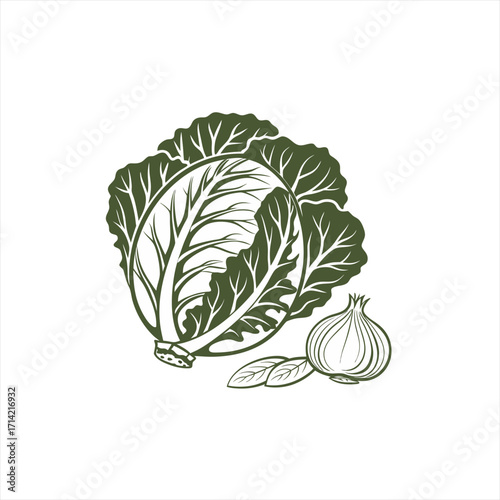 Stylized illustration of a green cabbage and an onion with leaves on a white background