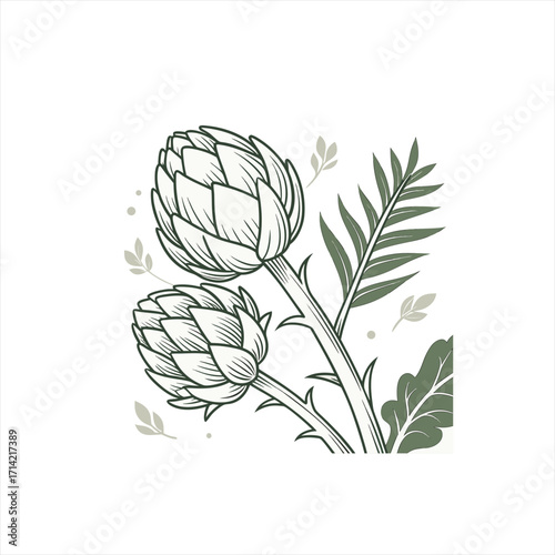 Artichoke illustration with leaves and branches on white background