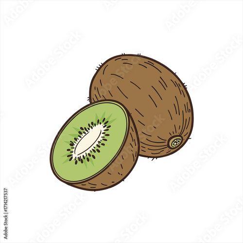 Illustration of a whole kiwi fruit and a sliced kiwi fruit on a white background