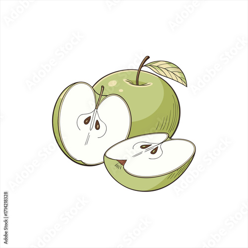 Illustration of a whole green apple with a halved apple and a slice