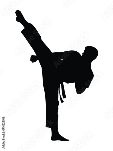 Dynamic karate silhouette vector illustration of martial arts high kick in eps format silhouette vector illustration white background