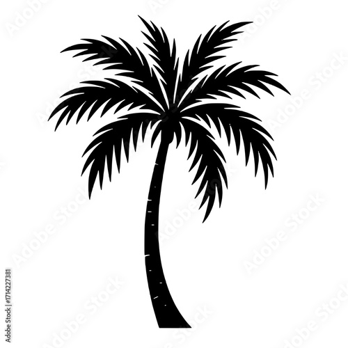 palm tree silhouette