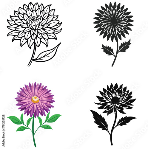 set of Aster flower vector on white background 