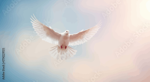 A beautiful white dove flying with wings spread wide.