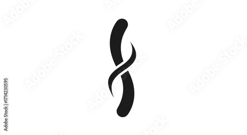 Abstract flowing symbol representing duality and connection.